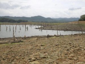 Se busca establecer nuevas fuentes de agua para mitigar su escasez en tiempos de sequía. / Archivo | La Estrella de Panamá
