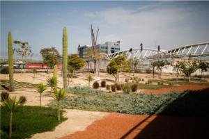 La Universidad Ben-Gurion del Negev se ha asociado con el parque tecnológico de Gav-Yam Negev en Beersheba, Israel. Foto: David Vaaknin / The Washington Post.