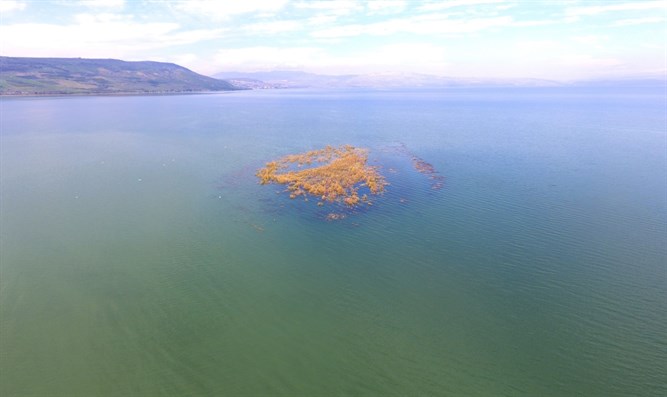 Mar De Galilea Sube 3 5 Centimetros Unidos X Israel