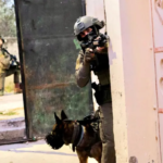 Estallan enfrentamientos armados entre las FDI y los palestinos cerca de Jenin