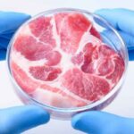 Startup israelí tiene como objetivo hacer realidad la carne barata cultivada en laboratorio