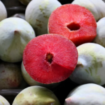 ‘Ciruelas de sandía’: pionera agrícola israelí cultiva frutas híbridas